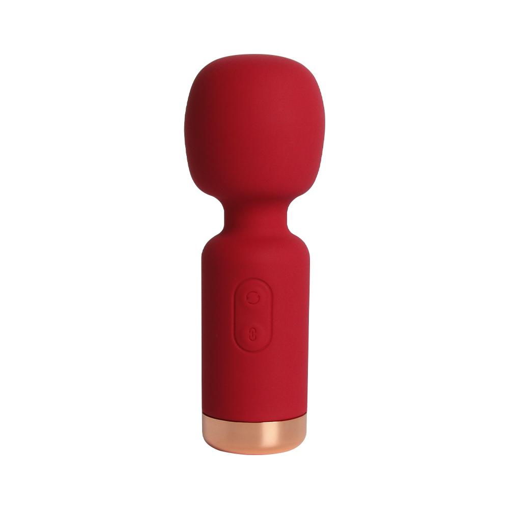 Usb Waterproof Silicone 10 Frequency Vibrator Mini Bullet G Spot Dildo Massage Rose Av Wand Vibrator For Women