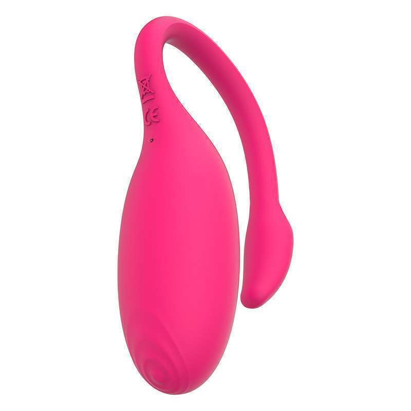 APP Control Smart Flamingo Sex Egg