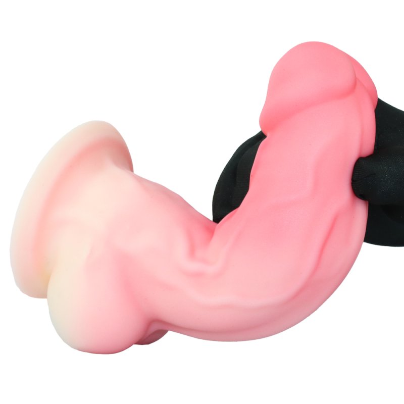 Pink Temptation Curved Dildo & Plug