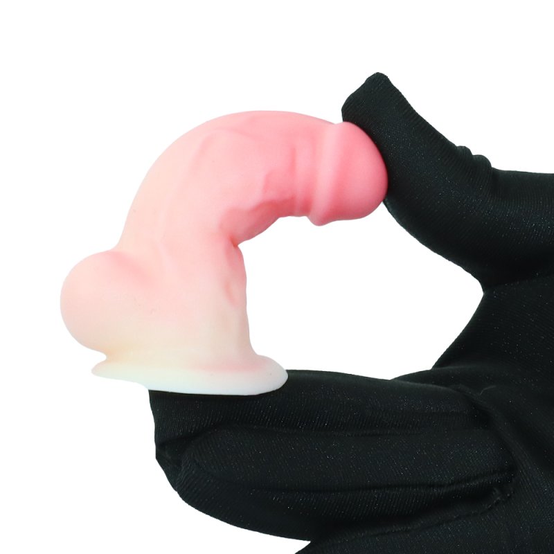 Pink Temptation Curved Dildo & Plug