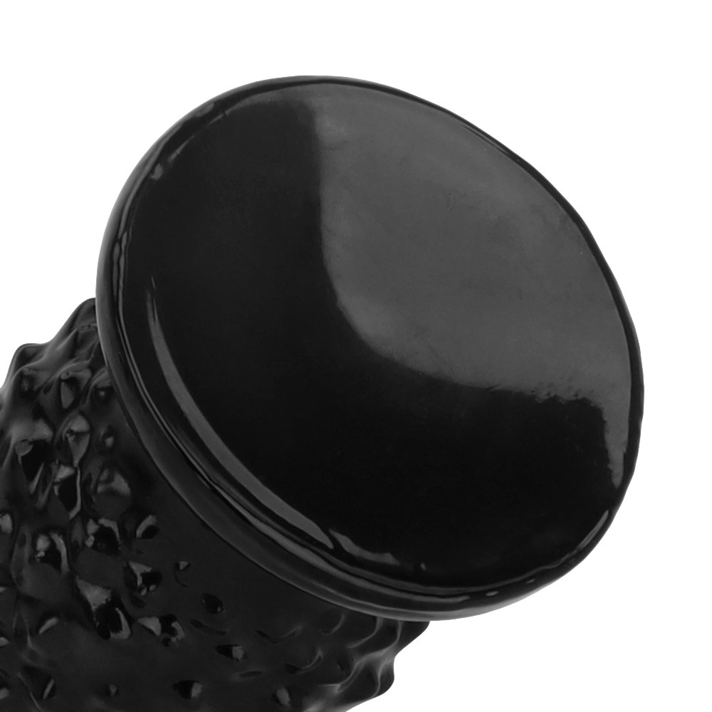 Pulling beads with suction cup anal plug