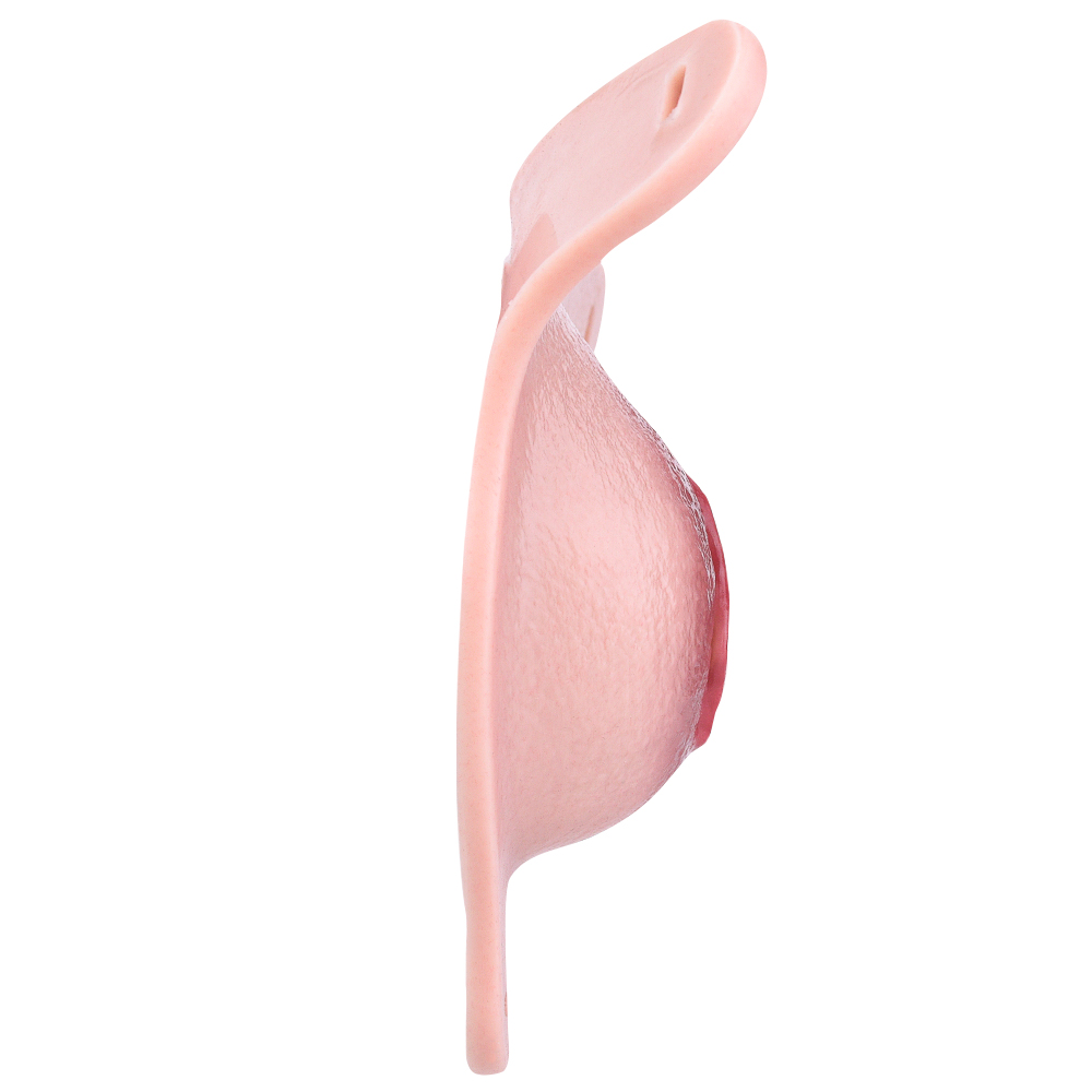 Femboy Wearable Vagina Pants