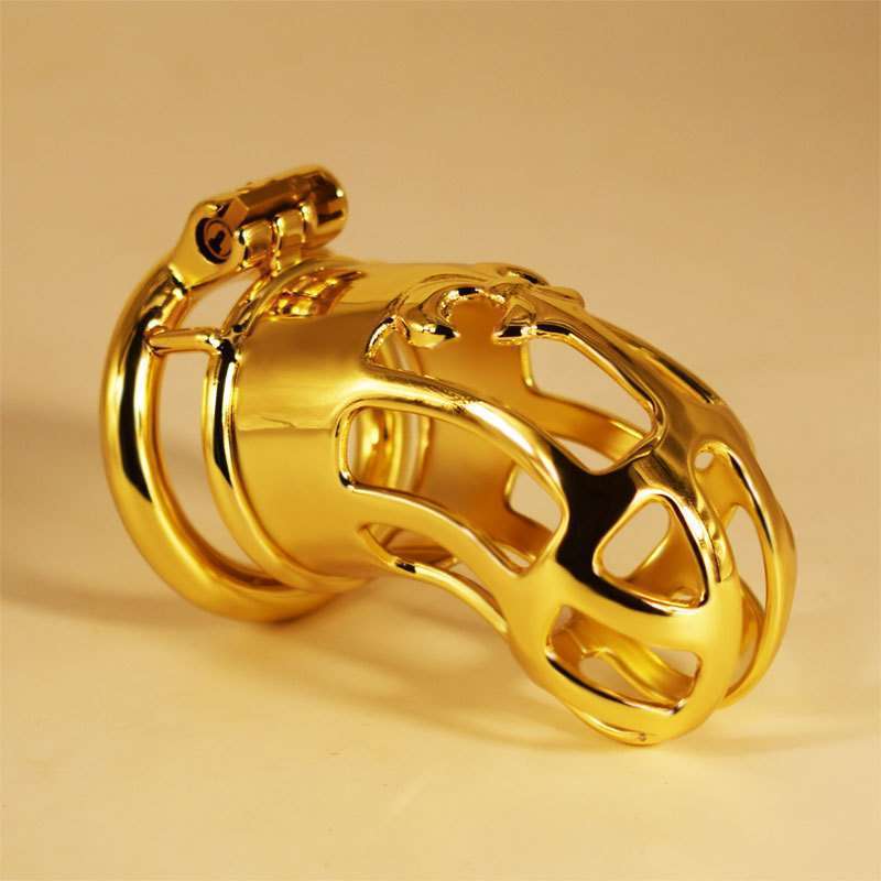 Hollow Out Chastity Cage With Round Ring